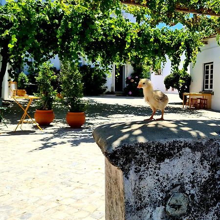 Oryza Guest House& Suites Coimbra Exterior photo