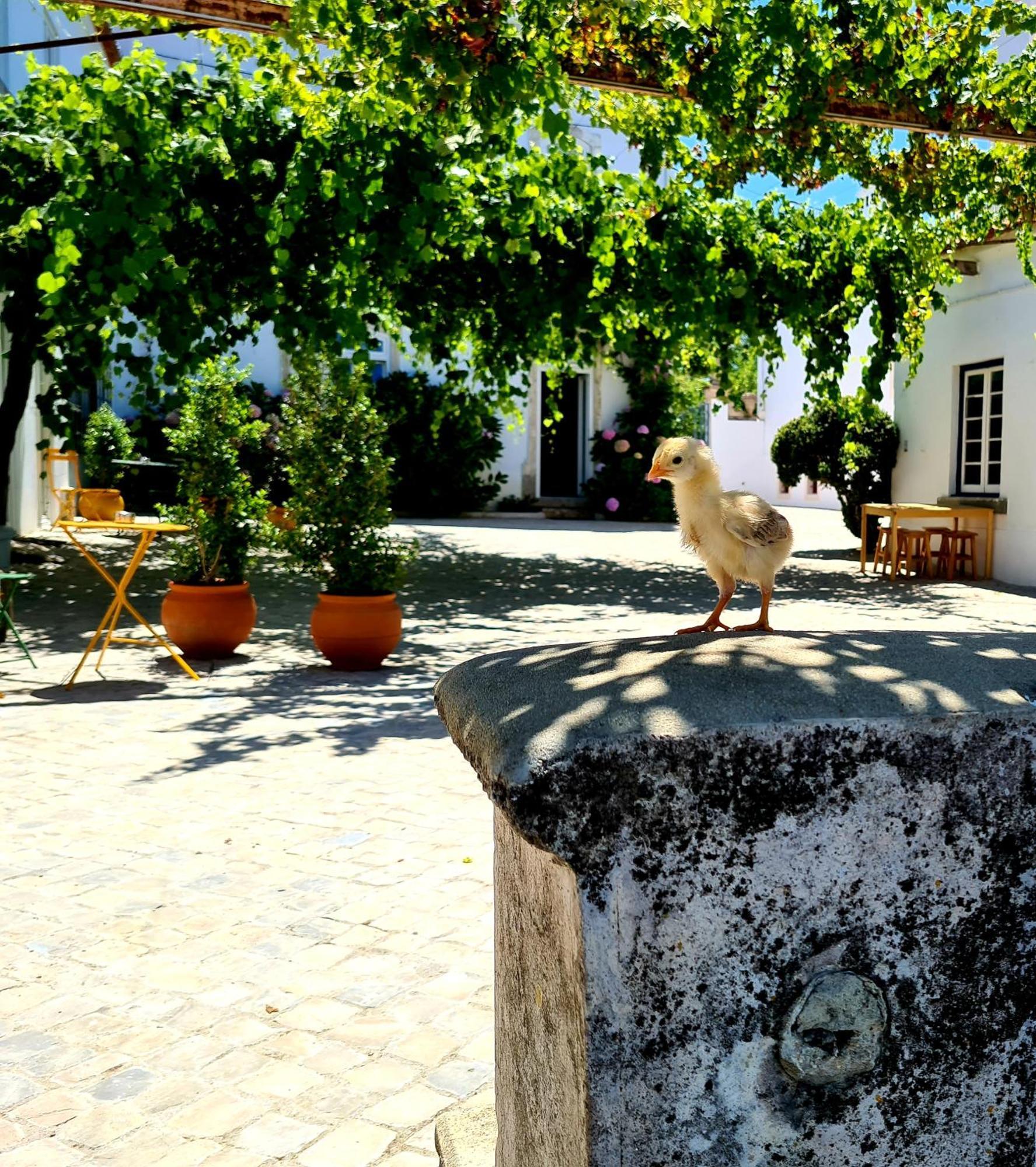 Oryza Guest House& Suites Coimbra Exterior photo